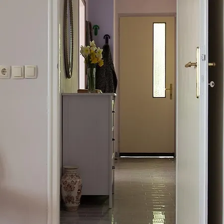 Diana Apartamento *